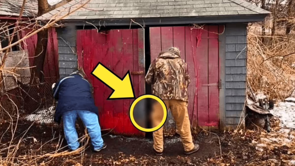 Brothers Find Abandoned Shed. Opening It, They Scream & Immediately Call The Authorities!